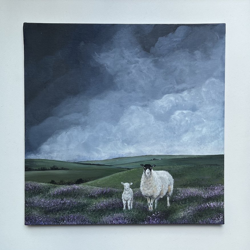 North Yorkshire moorland sheep